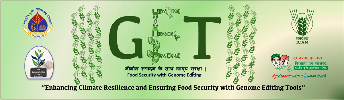 Agricultural Research can shape the future of India